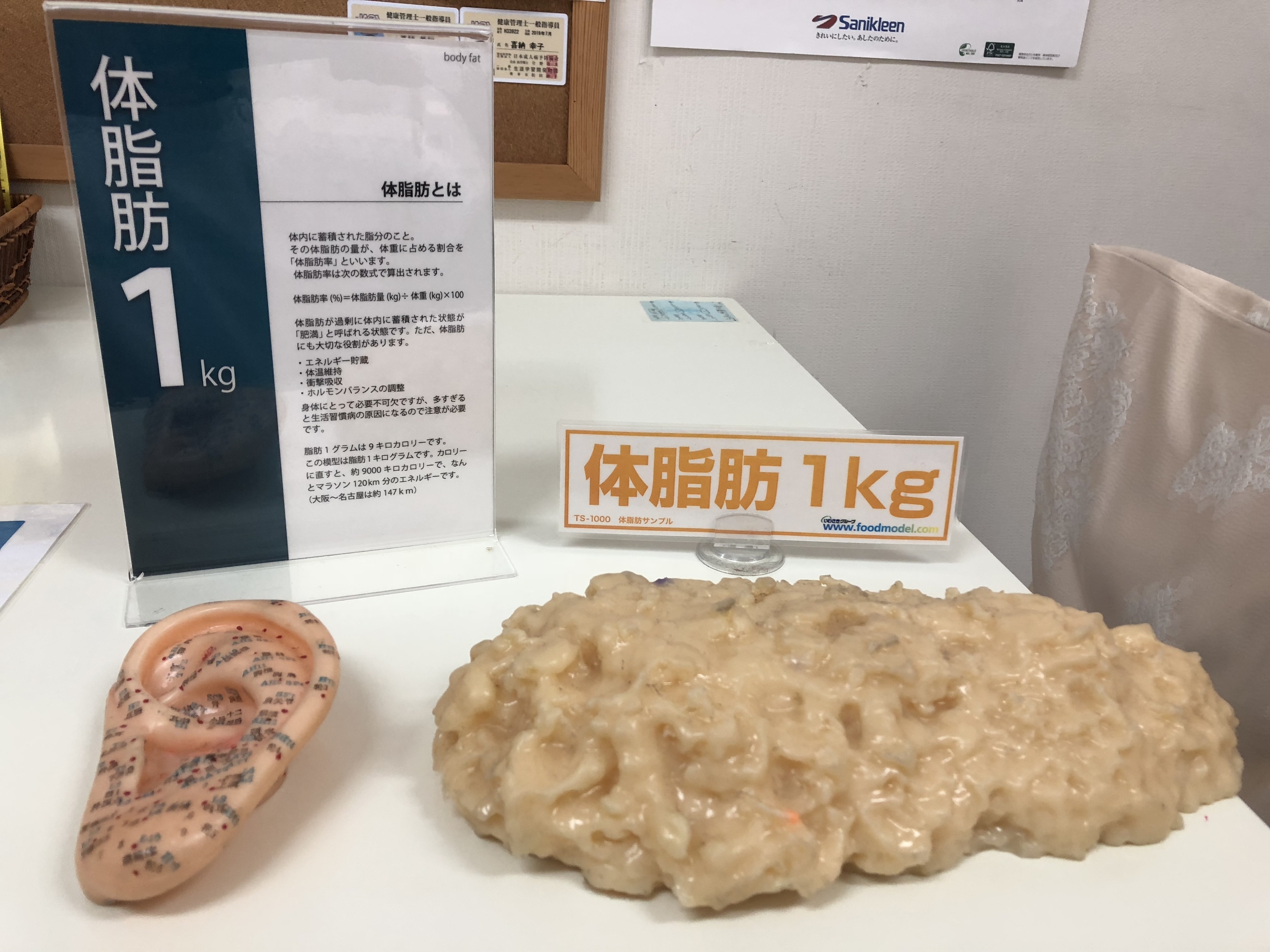 体脂肪1㎏