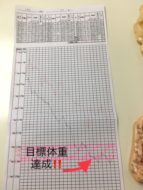 新垣和子さんグラフ表