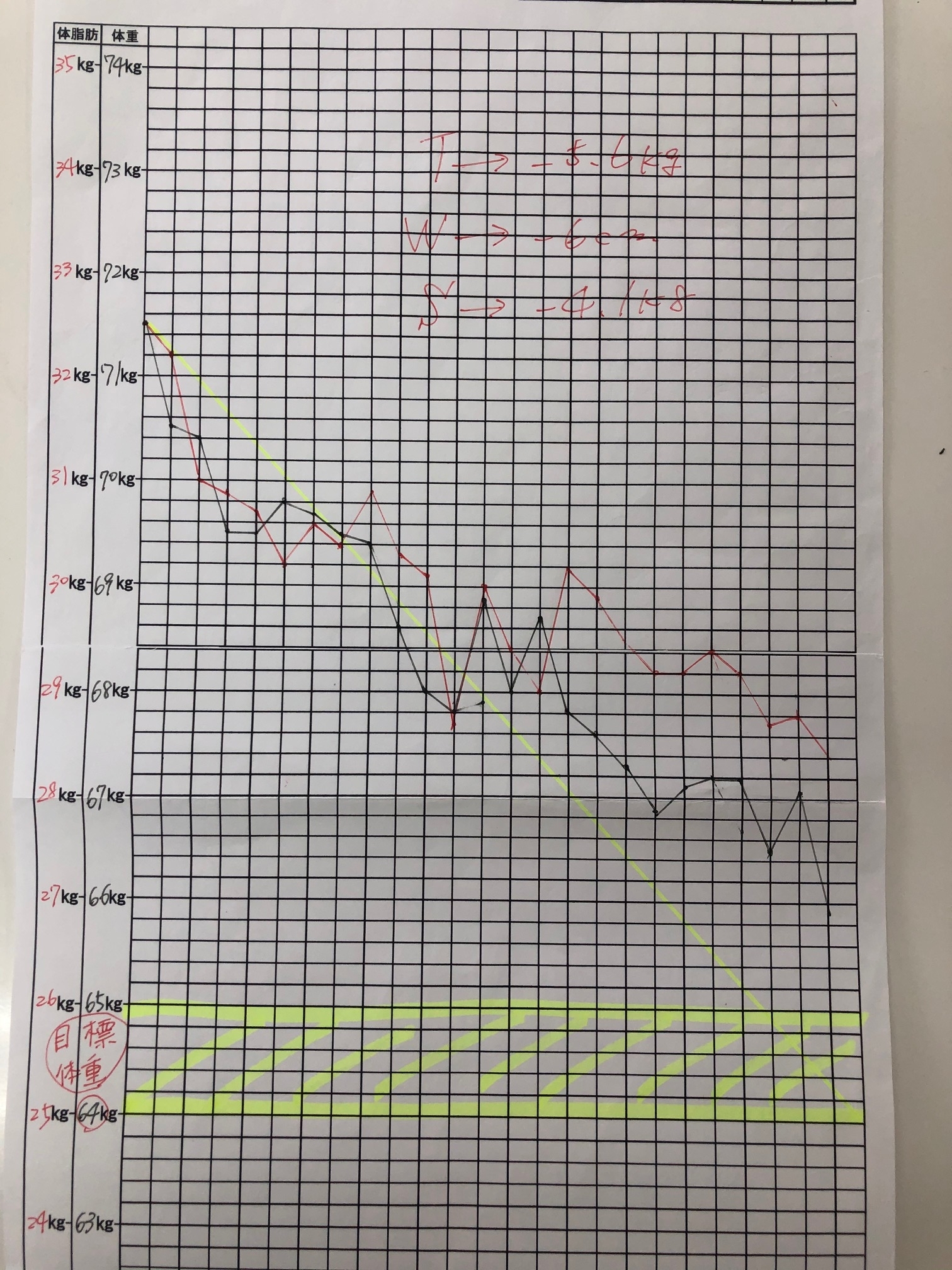 耳つぼダイエットグラフ