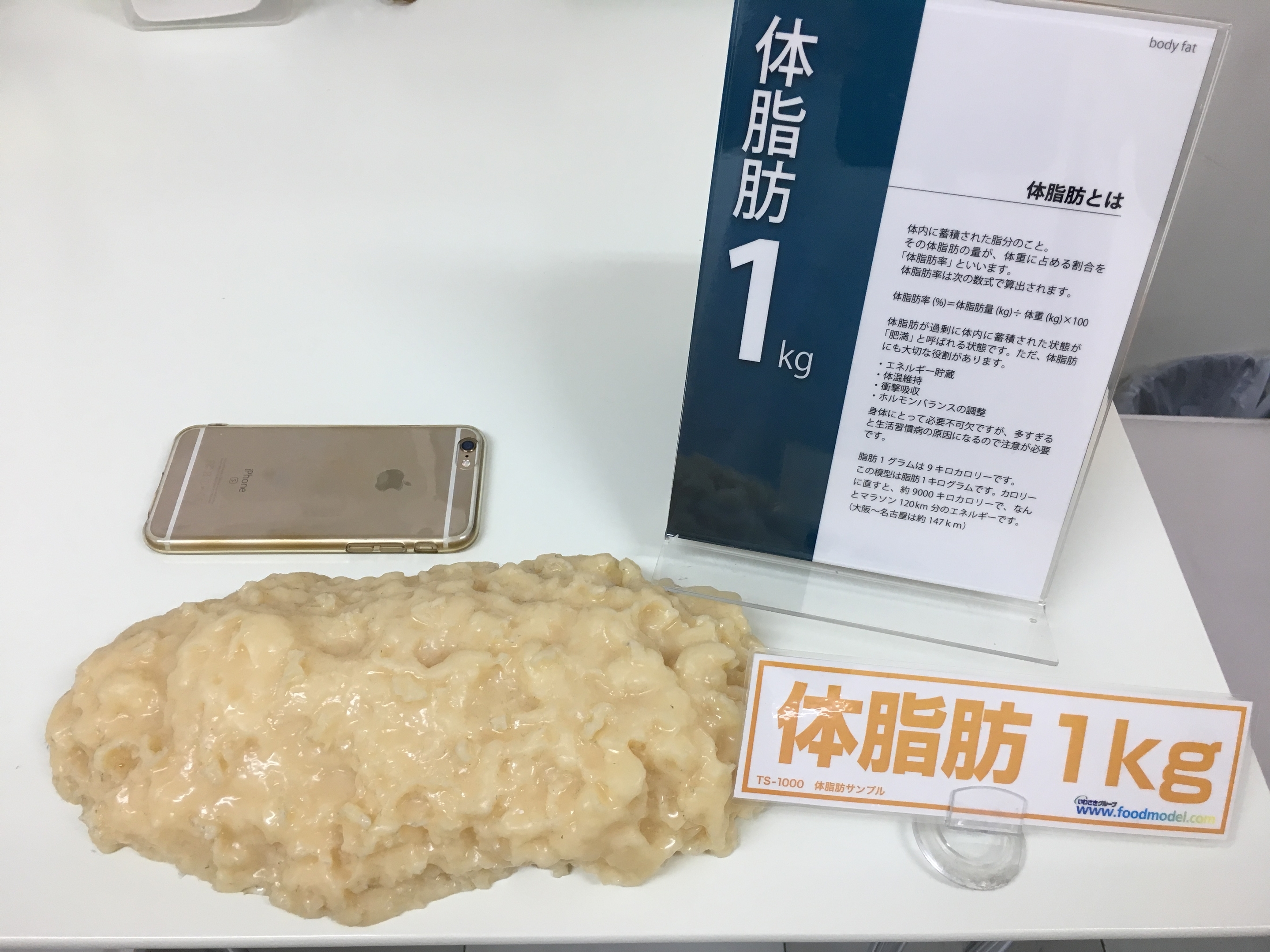 体脂肪1㎏の模型