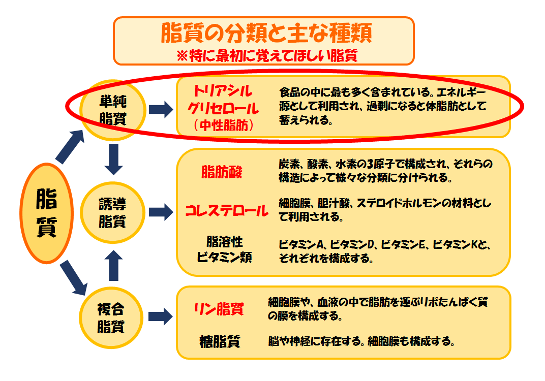 脂質について