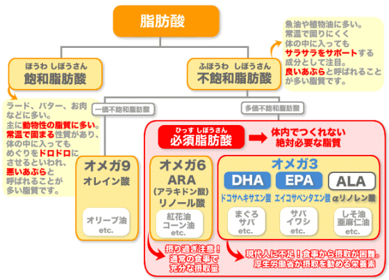 脂質の種類